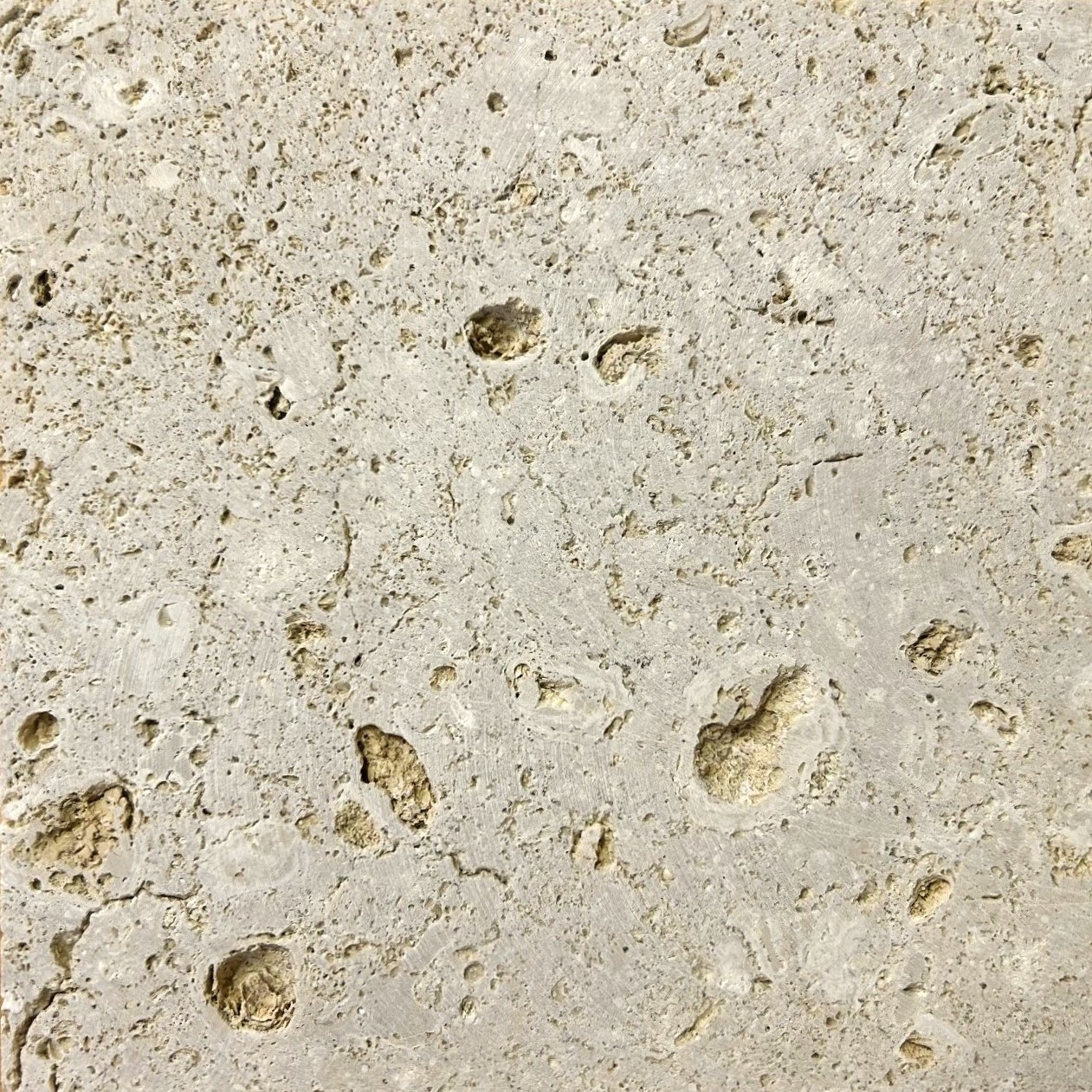 コーラルストーン